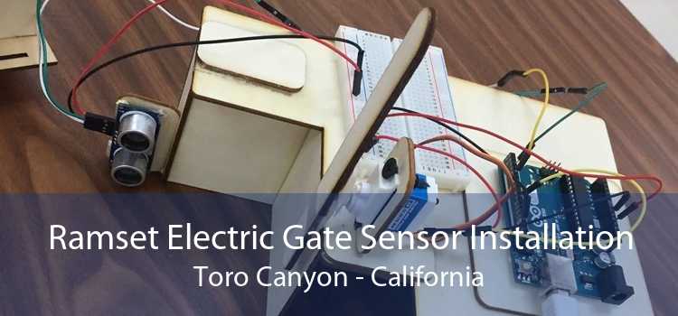 Ramset Electric Gate Sensor Installation Toro Canyon - California