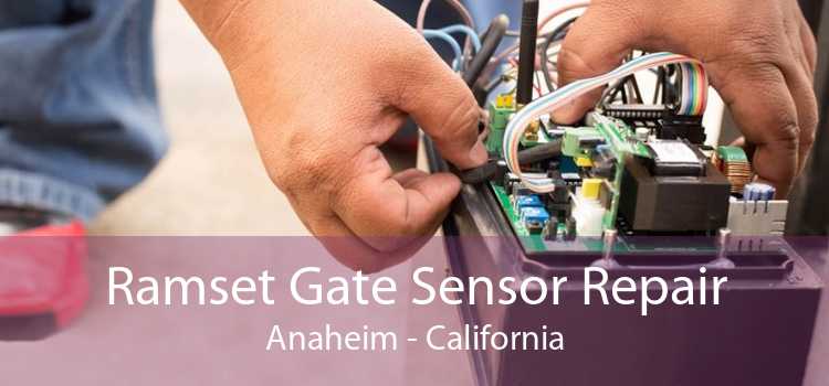 Ramset Gate Sensor Repair Anaheim - California