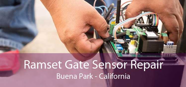 Ramset Gate Sensor Repair Buena Park - California