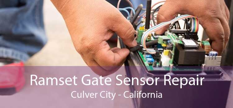 Ramset Gate Sensor Repair Culver City - California