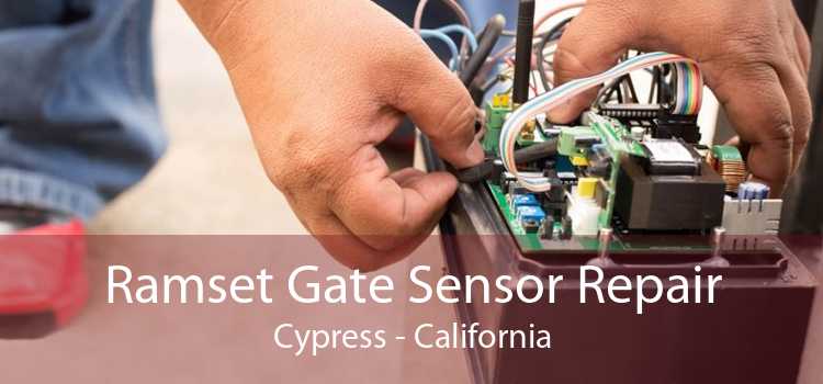 Ramset Gate Sensor Repair Cypress - California