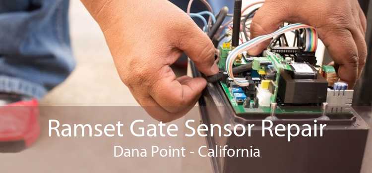 Ramset Gate Sensor Repair Dana Point - California