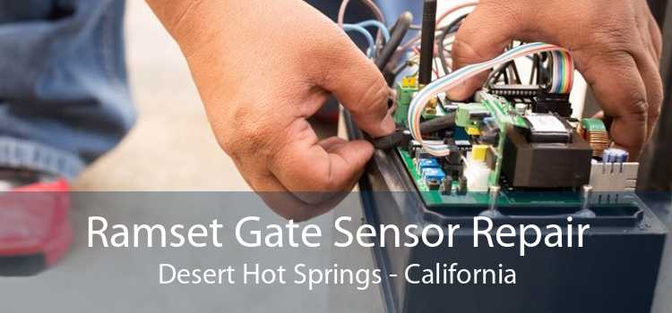 Ramset Gate Sensor Repair Desert Hot Springs - California