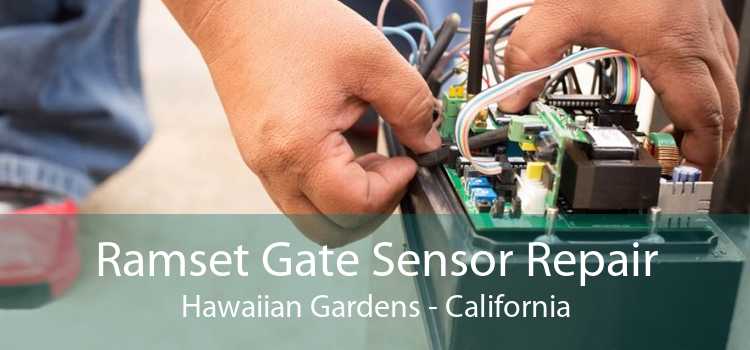 Ramset Gate Sensor Repair Hawaiian Gardens - California