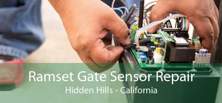 Ramset Gate Sensor Repair Hidden Hills - California