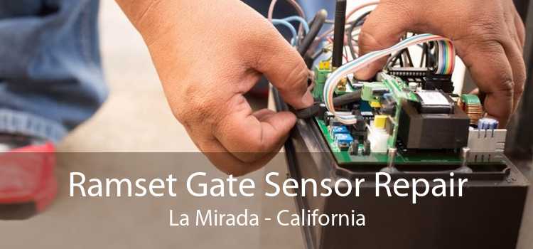 Ramset Gate Sensor Repair La Mirada - California