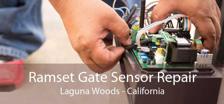 Ramset Gate Sensor Repair Laguna Woods - California