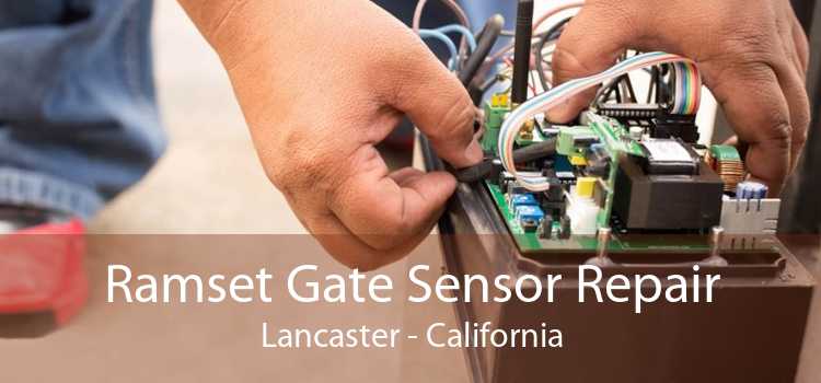 Ramset Gate Sensor Repair Lancaster - California