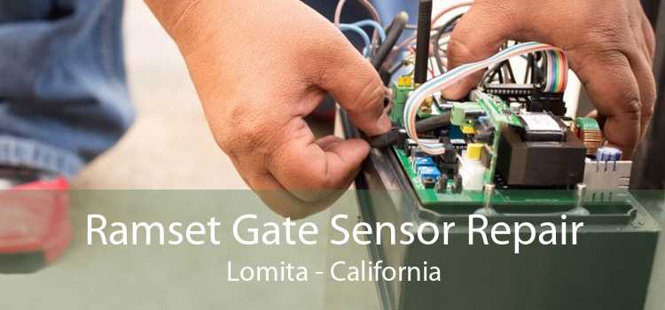 Ramset Gate Sensor Repair Lomita - California