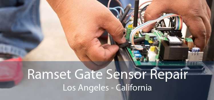 Ramset Gate Sensor Repair Los Angeles - California
