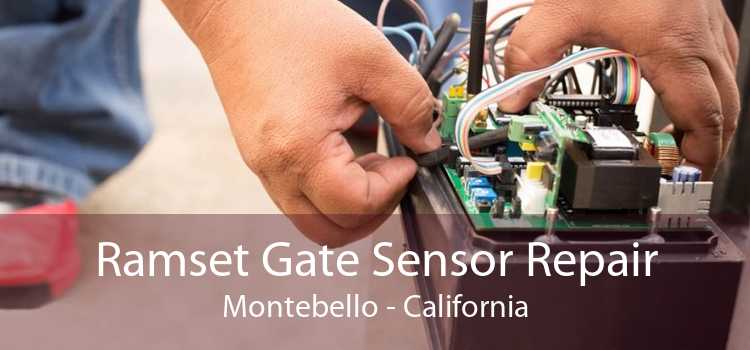 Ramset Gate Sensor Repair Montebello - California