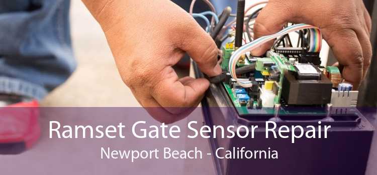 Ramset Gate Sensor Repair Newport Beach - California