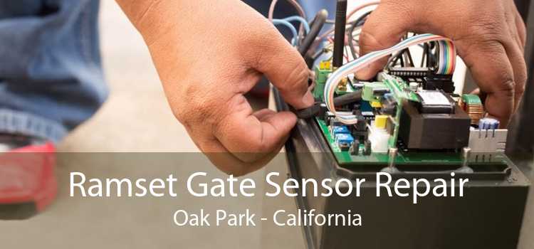 Ramset Gate Sensor Repair Oak Park - California
