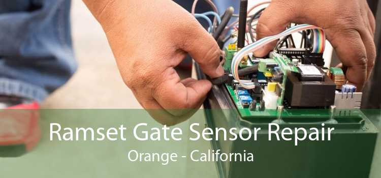 Ramset Gate Sensor Repair Orange - California