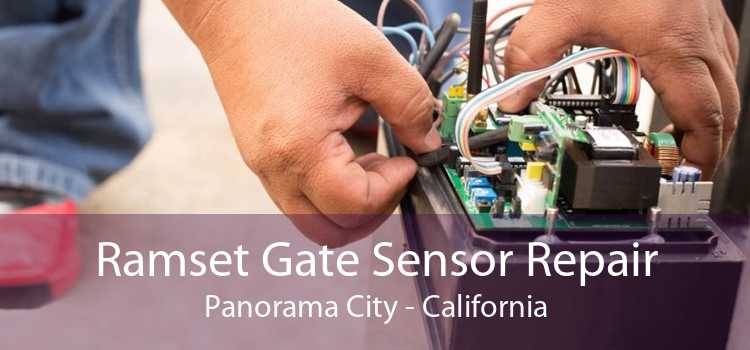 Ramset Gate Sensor Repair Panorama City - California