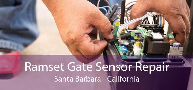 Ramset Gate Sensor Repair Santa Barbara - California