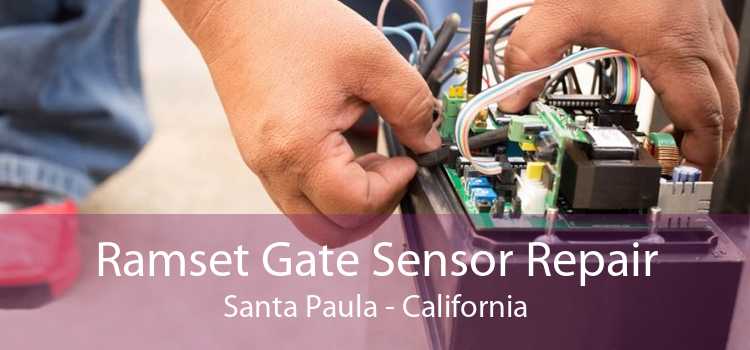 Ramset Gate Sensor Repair Santa Paula - California