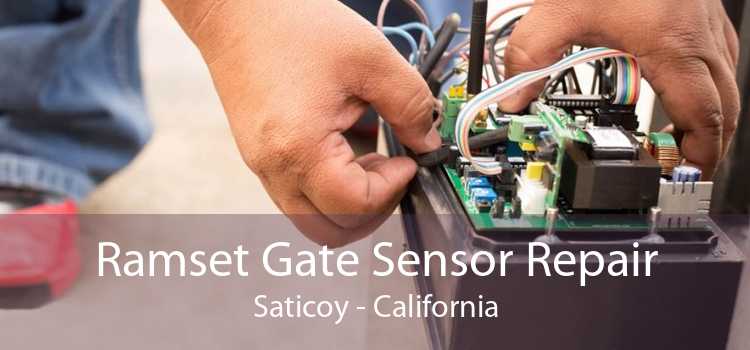 Ramset Gate Sensor Repair Saticoy - California