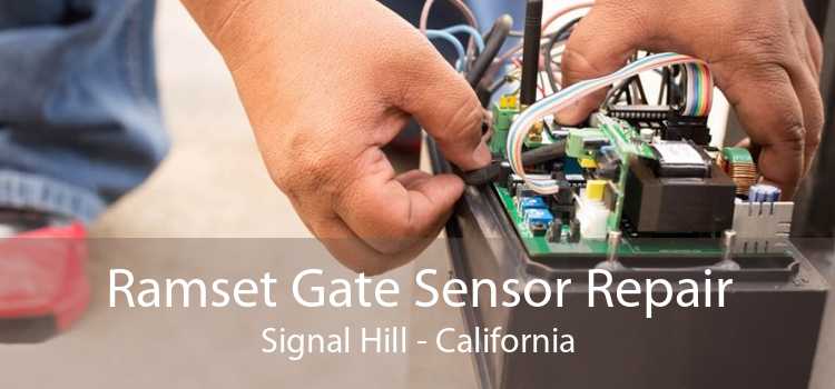 Ramset Gate Sensor Repair Signal Hill - California