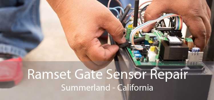 Ramset Gate Sensor Repair Summerland - California