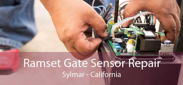 Ramset Gate Sensor Repair Sylmar - California