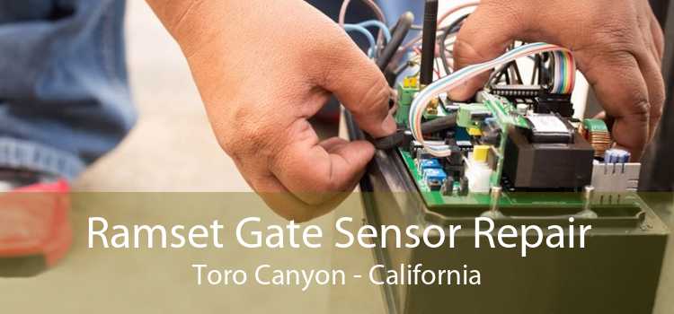 Ramset Gate Sensor Repair Toro Canyon - California