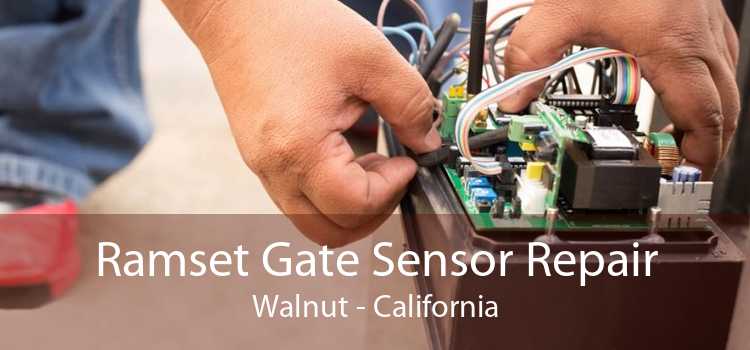 Ramset Gate Sensor Repair Walnut - California