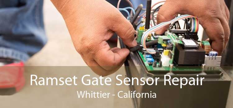 Ramset Gate Sensor Repair Whittier - California