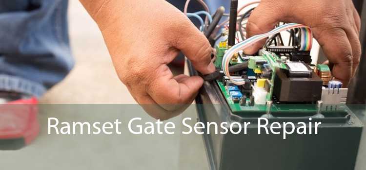Ramset Gate Sensor Repair 